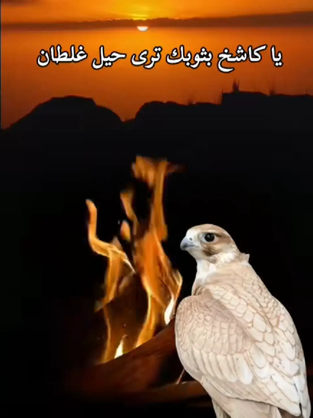 #أكسبلور_شعر_حكم_خواطر 