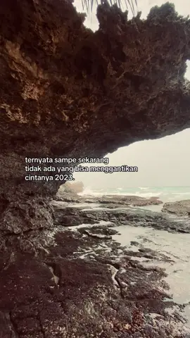 🤍