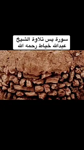 #قران_كريم #عبدالله_خياط 
