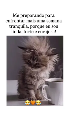 Deus abençoe o nosso dia 🌝✨️ #deuséminhaforça #segundouu #eutenhofé #goodvibes #bomdia #gratidão #fyp 