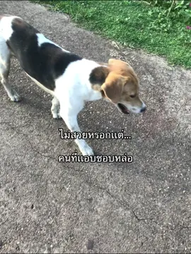 #เธรดดด