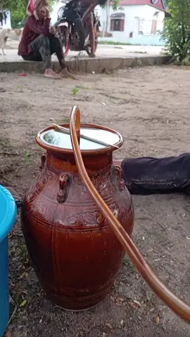 ngày hôm nay 