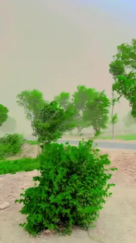 Layyah ka bhot acha mosam #foryou #foryoupage#foryou #monahalshahzadi❤️❤️ 
