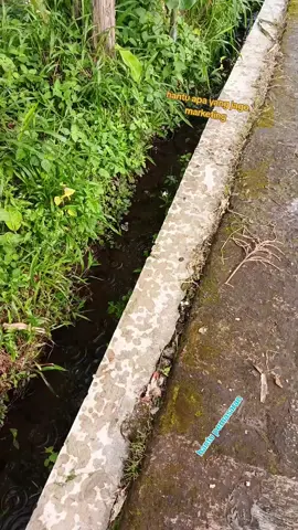 di saat hujan
