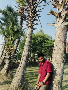ওওও..আরকি বোঝাবো বল বলছে ফুলের দল তুই..আমারই...আরকি কারণ চাস..☺️🌸#viralvideo #foryou #foryoupage #foryoupage #tiktokbangladesh #viral?tiktok🥰 #সবাই_একটু_সাপোর্ট_করবেন_প্লিজ 