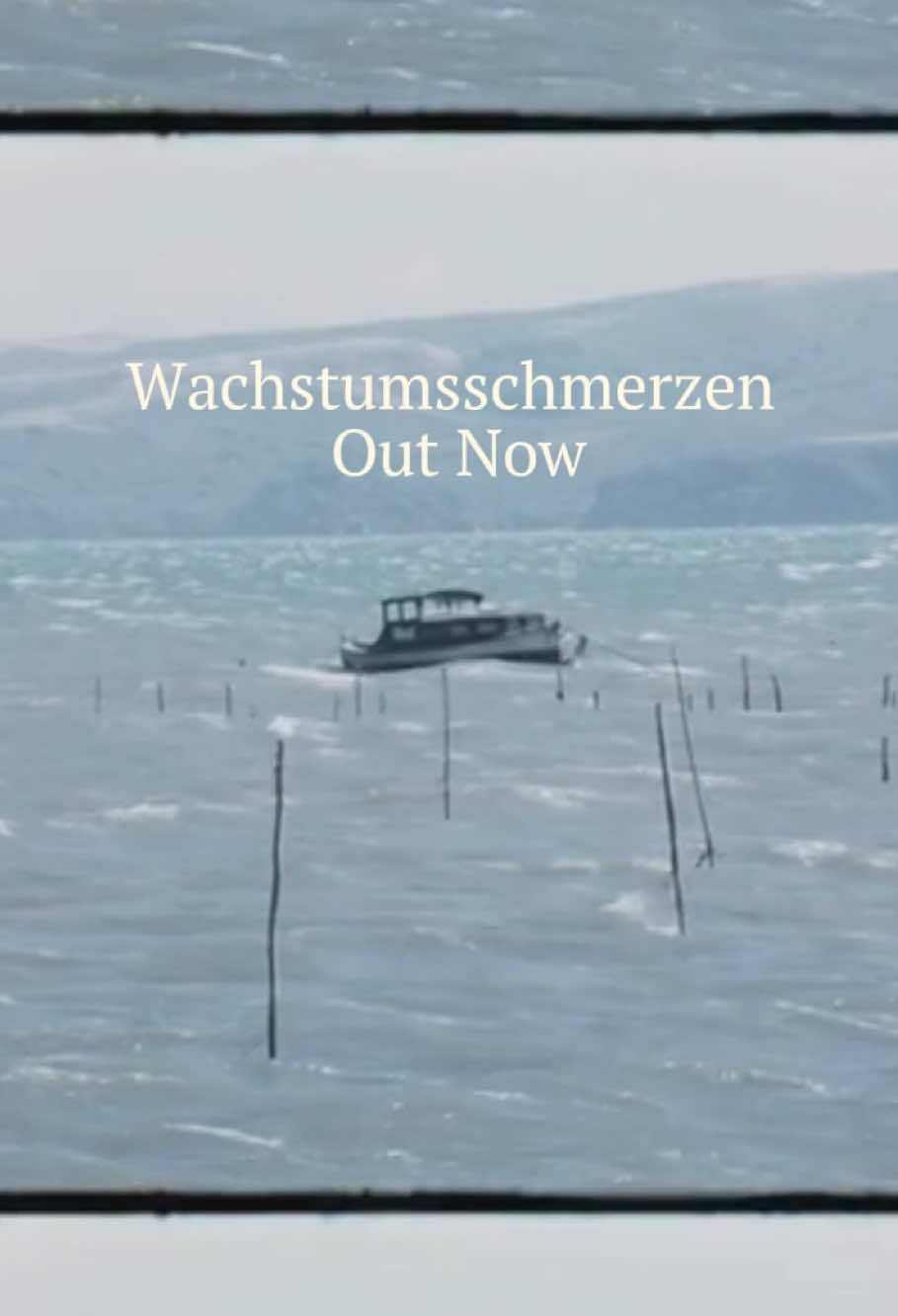 Bisschen schaukeln sei gut gegen Trauer ⛵️🩻 #newmusic #neuemusik #deutscherindie #sommer #originalmusic #singersongwriter 