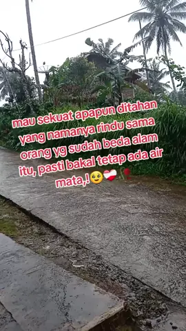 al-fatihah anak surgaku🥹🥀