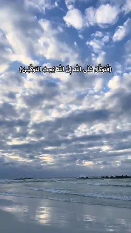 #لا_اله_الا_الله_محمد_رسول_الله #لا_اله_الا_انت_سبحانك_اني_من_الظالمين #صدقة_جارية #قران #قران_كريم #قرأن_كريم_راحة_نفسية #قرأن #تلاوة_خاشعة #سورة_ال_عمران 