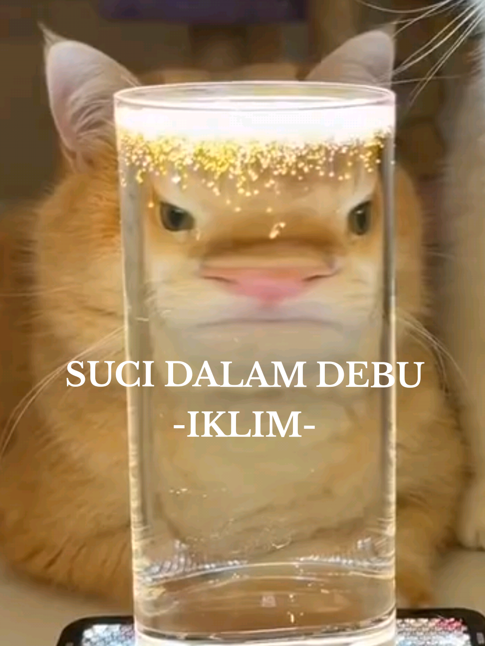 Pasni dh bole karok pkai vid kucing #catmeme #dailylife #dailylifememe #cat #lyrics  #kucing #kucingtiktok #fyp #jiwang #iklim #sucidalamdebu 