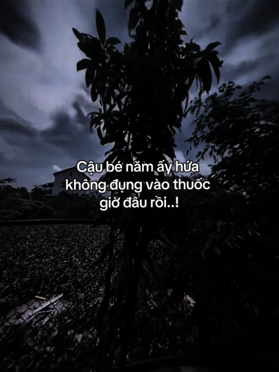 phần 1 | xinloi tôi không làm dc.. ... #hgtheanh34 #xhtiktok #xuhuong #cuocsong #viral #xyzbca #xh #tamtrang 