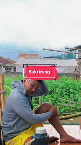 Dagang sweter  #masukberandafyp  #lucu_ngakak  #sundapride🏴‍☠️  #ngakakparah  #fypシ゚  #wiroahmad12  @qiqiituan14 