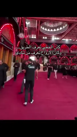 #ياحسين_ياشهيد_كربلاء #ياصاحب_الزمان_أدركنا_ولاتتركنا 