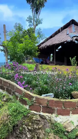 Chiang Mai attracts many visitors, but Hmong Doi Pui Village is often missed. The Hmong, an ethnic minority group, are an important part of northern Thailand’s population and heritage. To learn more about their rich history and vibrant culture, a visit to Hmong Doi Pui Village is a must. #chiangmai #thailand #thailandtravel #thailandtiktok #hmong #travel #PlacesToVisit #CapCut 