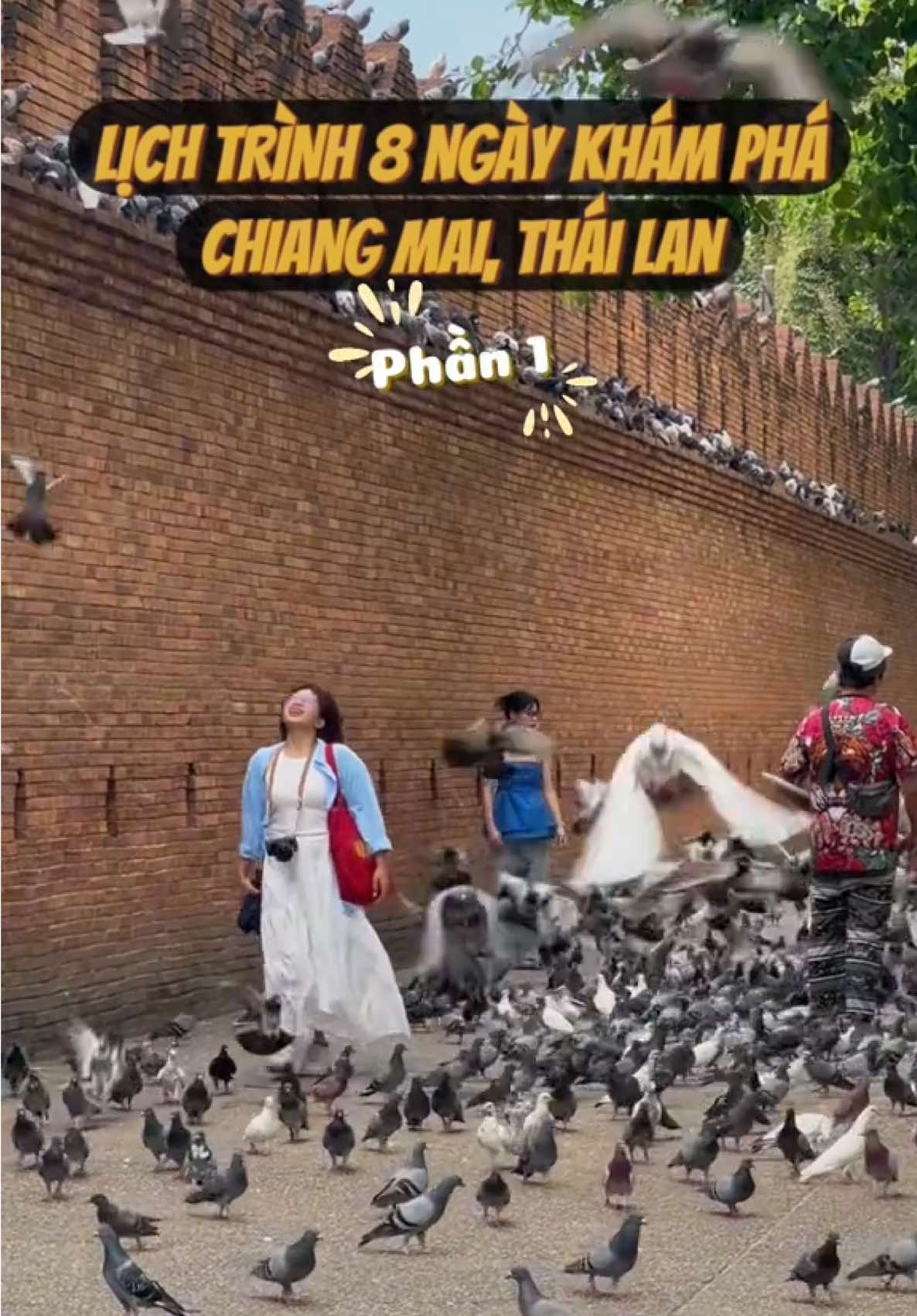Phần 1: Lịch trình chi tiết chuyến đi  Chiangmai, Thái Lan vừa qua!  2 lần đi Chiangmai Thái Lan và lần nào cũng đi hơn 7-8 ngày, bạn nào hỏi mình share lịch trình mình rất sợ lun, vì nó quá nhiều điểm. Đợi mình lên từ từ nha!  #jaynitravel #reviewdulich #AmazingThailand #TATHochiminh #thailand #ChiangMai 