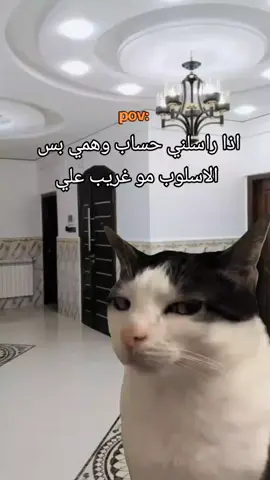 😂💔#متابعه_لايك_تعليق#شعب_الصيني_ماله_حل #شعب_الصيني_ماله_حل #حساب#راسلني#اسلوب#منشن#مميز#قوالب_كاب_كات