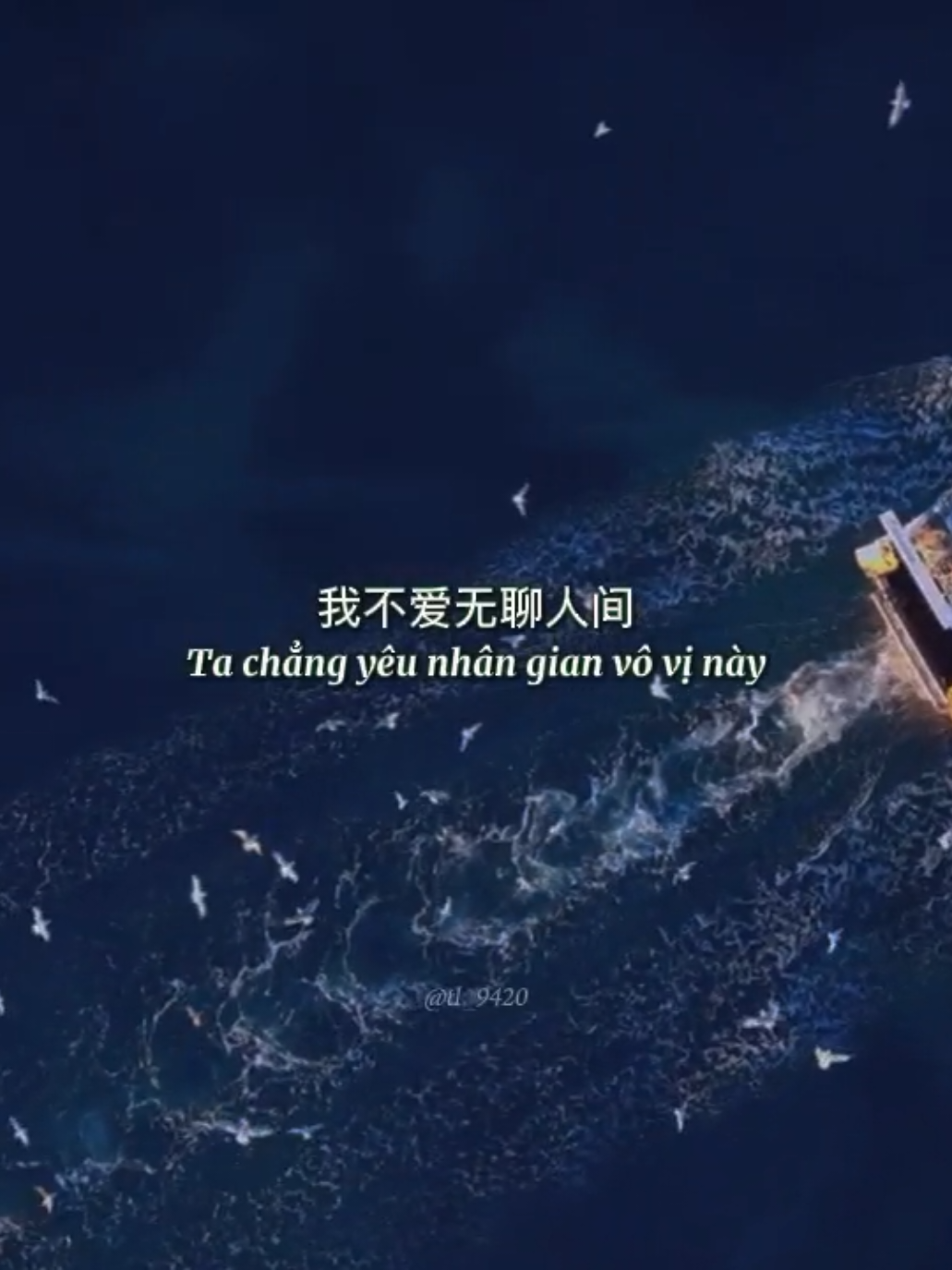我不爱无聊人间, 只偏爱你眉眼, 我永远偏爱你 #tl_9420 #trunghoateam #昨夜风今宵月 #giodemquatrangdemnay #viral #CapCut 