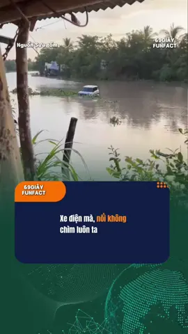 ủa ..#moingaymotniemvui #homnaycogihay #homnayangi #xuhuong #moingaymotcauchuyen #odaycotinmoi 