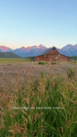Mornings on Mormon Row 🫶🏼 love how the mountains change color as the sun comes up ✨ #bucketlisttravel #grandtetons #grandtetonnationalpark #mormonrow #tetons #Hiking #hikinglife #hiketok #usatravel #mountains #sunrise 