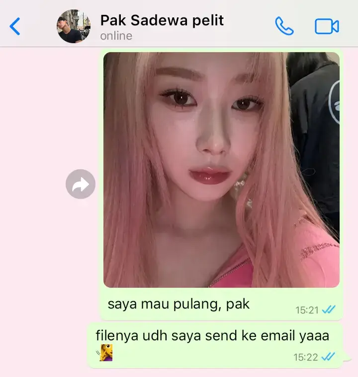 dipuji tak terbang, dipanggil 