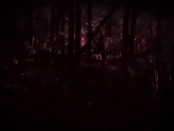 #weirdcore #horrorcore #мясорубка #forest #лес #спокойствие 