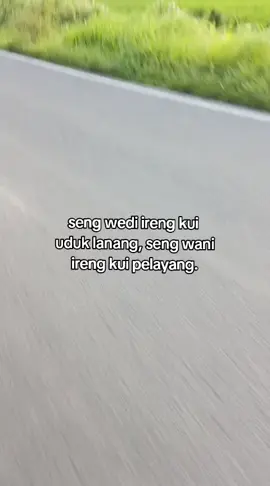 #pelayang #bwi24jam #fyp #pbpelayangbwi #fyppp #katakata #katakata #layangan #fyppp #sawah #bwix24 