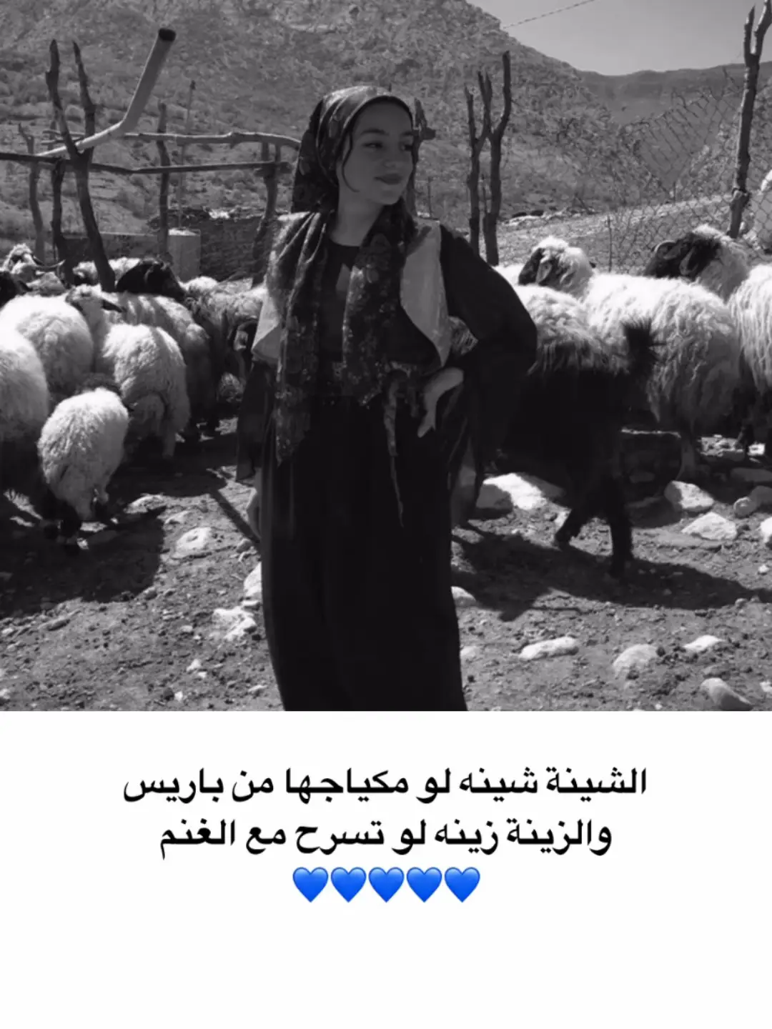 #كسيفه_حورره_عرعره_الشقيب_رهط_هداج 