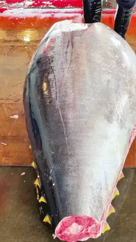 #Mavisse #maet #cuttings #fishcuttingskill #fish 