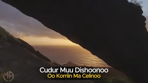 QALINLE |CAGAAR WEYNE | QARAAMI BILAA MUSIC AH #somalitiktok #heesbilaamusic #foryourpage 