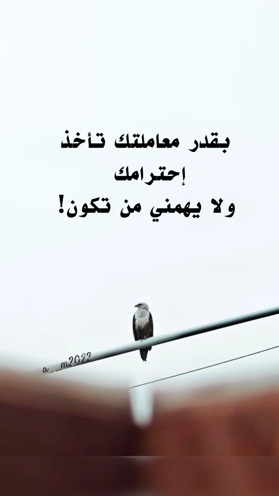 #Explore #tiktok 