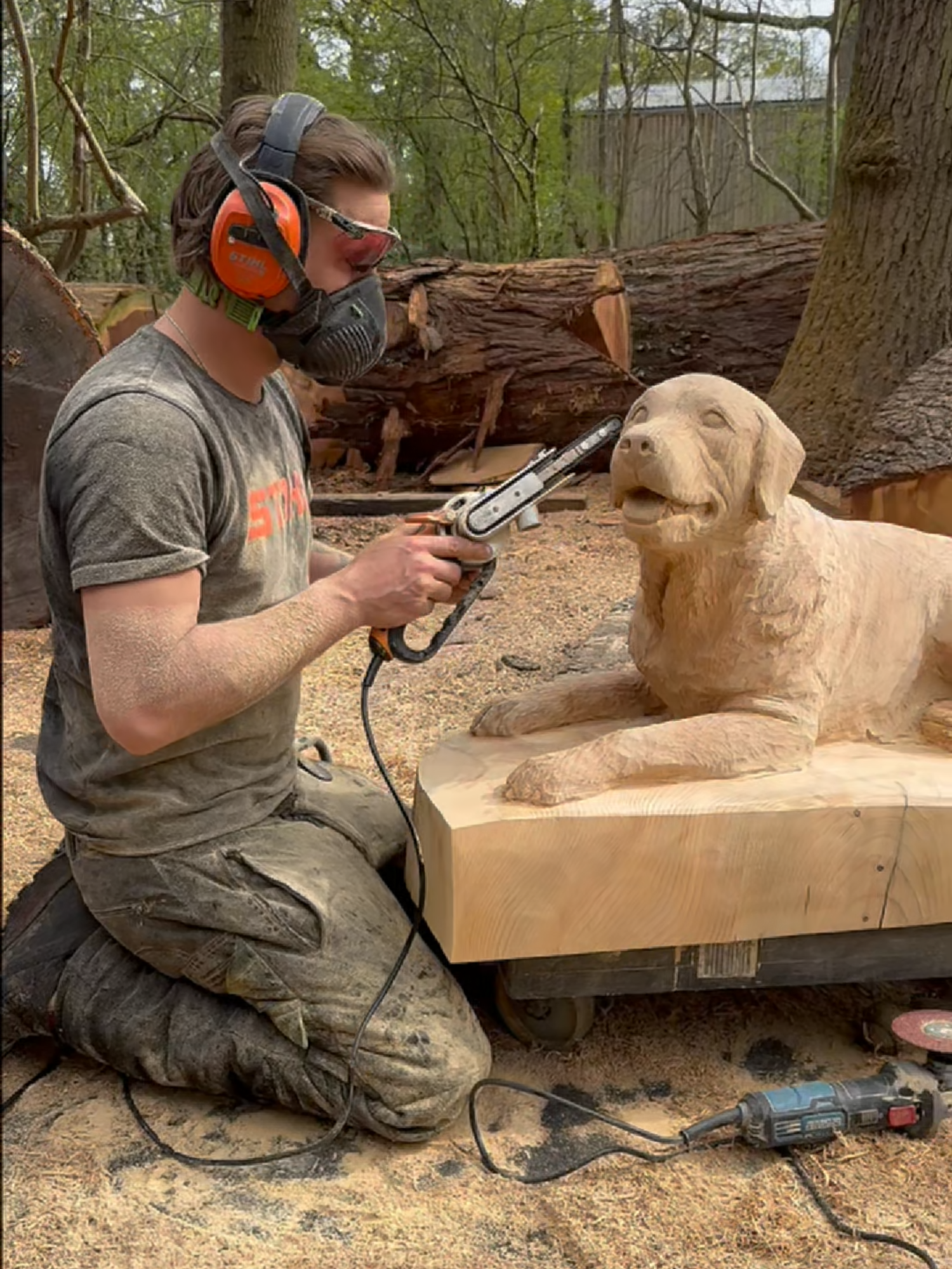 Detailing for this Yellow Lab Sculpture! #dog #chainsaw #woodworking #labrador #artwork #sculptureartist #woodcarving