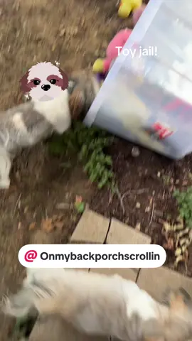 They have too many toys. 