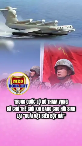 #meohonghot #quansuthegioi #giaitritonghop #quansu #chinhtri #tintuc24h #xuhuongg 