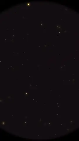انا لو قدامي 1000 راجل بردك اختار جوزي
