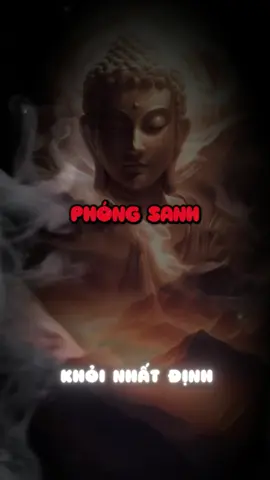 PHÓNG SANH  #CapCut #adidaphat🙏🙏🙏 #phatphapnhiemmau #fyp #phatphap #tinhthuc260690 #xuhuongtiktok 