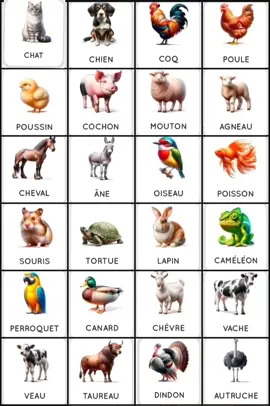 #francaise🇨🇵 #france🇫🇷 #فرانسا🇫🇷 #فرانسة🇫🇷_وتونس🇹🇳 #france_algerienne🇩🇿🇨🇵 #apprendre_le_français #французькамова #فرانس_بالعربي 