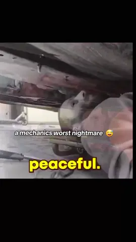 #carrepair #tiktokautocampaign #carlovers #bmw #audi #funnyreelsvideo #fro_otaku 