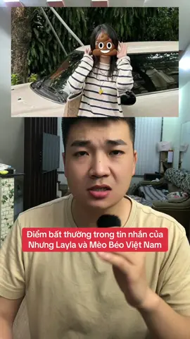 Đoạn tin nhắn giữa Nhung Layla và Mèo Béo VN #nhunglayla #meobeovn #nhunglaylameobeo #chienhalo #chienhalotintuc 