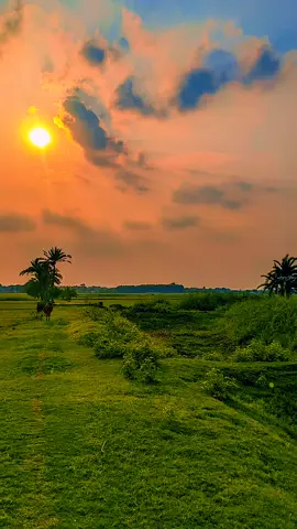 #আল্লাহ_মাফ_করে_দাও_সবাইকে 