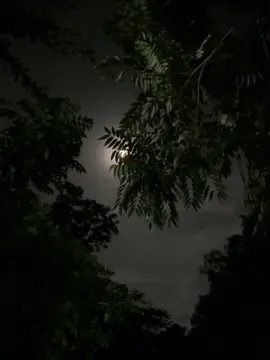 তোমাকে না পাওয়ার বেদনা ভুলবো না কখনো তুমি আজ চোখের আড়ালে তোমার প্রতিধ্বনি অন্তরে বাজে এখনো..!!  🙃❤️‍🩹 #foryou #foryoupage #edit #videography #cinematic #viral #kaiummahamudminar @TikTok Bangladesh 