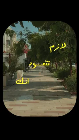 امشي لوحدك ✨ #مغامرات_أروى #اكسبلور #fyp #تحفيز 
