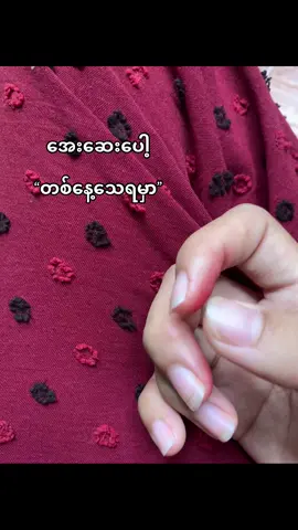 တစ်နေ့ပေါ့”#fypシ゚viralシfypシ゚ #ဘယ်ချိန်တင်မှviewတတ်မှာလဲ😾 