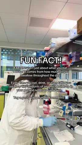 If you don’t know a gassy yapper then you are the gassy yapper 💨💨💨 #guthealth #gutscience #gas #scientist #fart #farting #yapper 