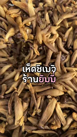 ความกรอบบบ🤤🍄‍🟫 #เห็ดชิเมจิอบกรอบyummie #เห็ดชิเมจิอบกรอบ #shimeji #เห็ด #mushroom #asmr #กรอบ #fyp #ฟีด 