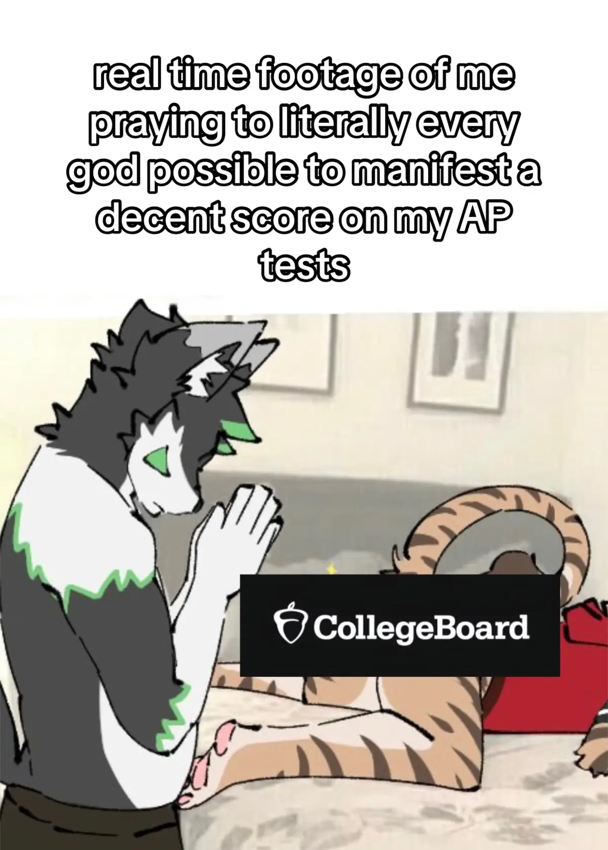 the scores were released this morning 💔 i’m lowkey scared to check #furry #furrytiktok #furryfritz #furryfandom 