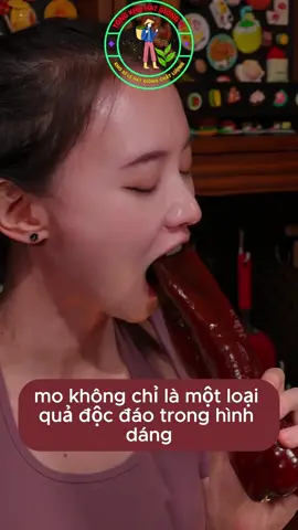 Hạt giống ớt với tỷ lệ nảy mầm cao#hatgiong #hatgiongrau #trongrausach #ớt 