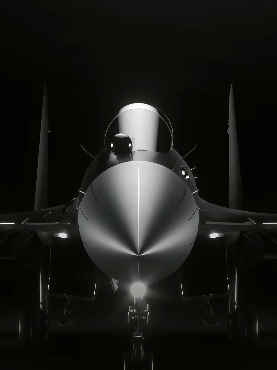 Milking this sound // DM for song promos/ editing orders // #military #airforce #usairforce #fyp #fy #viral #su35 