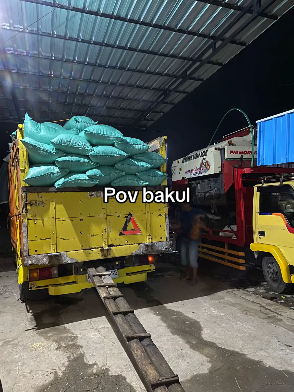 #fyppppppppppppppppppppppp #gabahbalap🌾 #maxxi #bakolgabah #fypシ゚viral #fypシ゚viral #fyp #bakolgabah #fypシ゚viral 