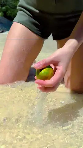 Ep 536 - This is a regular COCONUT #camping #survival #bushcraft #Outdoors