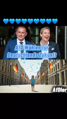 #💙 #deutschland #afd #aliceweidel #germanpolitics #freiheit #meinungsfreiheit 