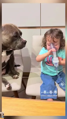 Don't worry because Mino is here. 🥹🥹 #pet #dog #cute #baby #PetsOfTikTok #dogsofttiktok #viaralvideo 
